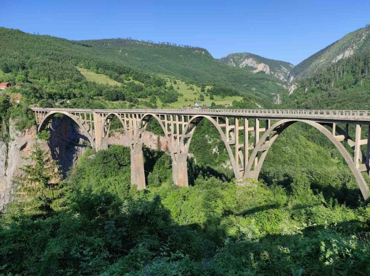 Mountain Soul Rest Βίλα Žabljak Εξωτερικό φωτογραφία