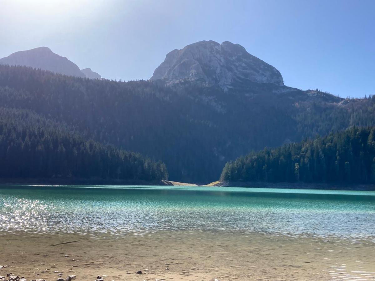 Mountain Soul Rest Βίλα Žabljak Εξωτερικό φωτογραφία